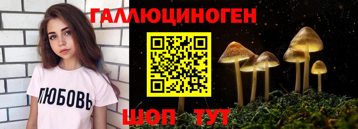 Галлюциногенные грибы мухоморы  Вход с VPN  Стрежевой 